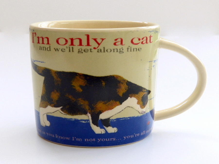 Feline Friends Mug